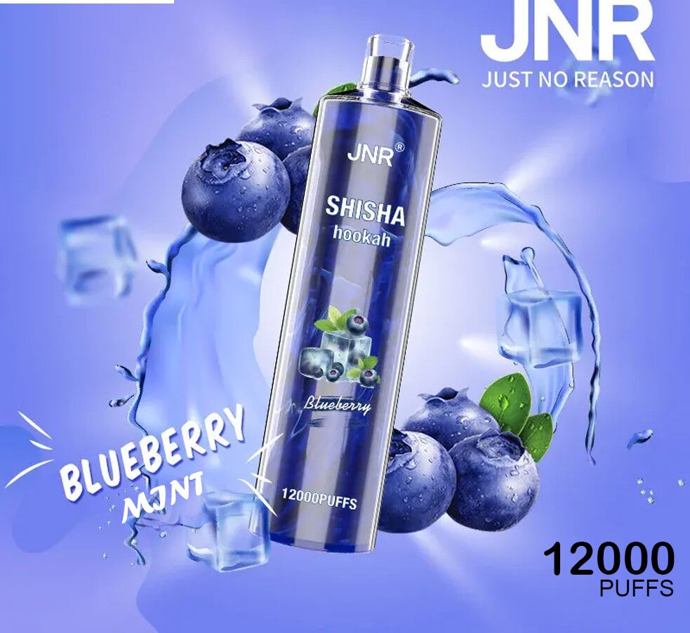 JNR SHISHA HOOKAH - BLUEBERRY POMEGRANATE - 12000 PUFFS — image 1