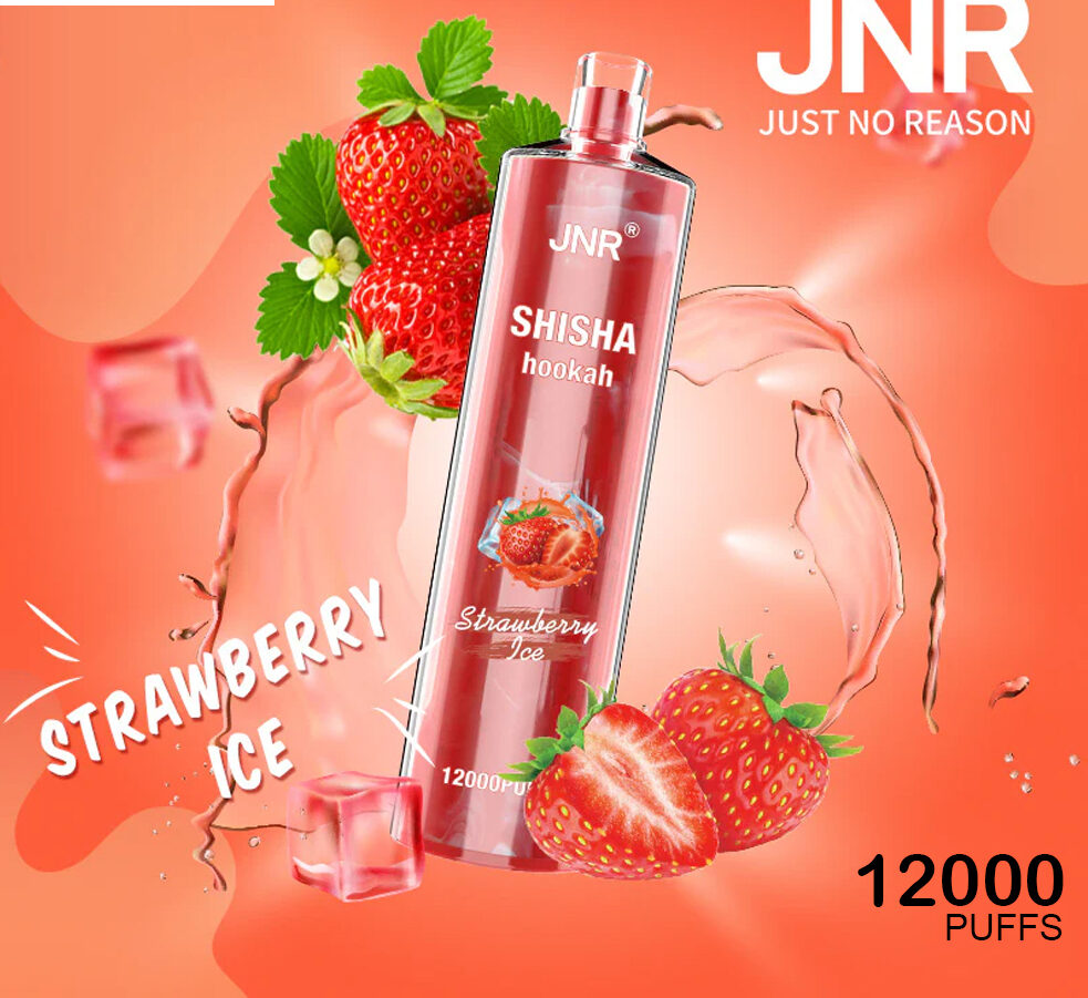 JNR SHISHA HOOKAH WATERMELON ICE - 12000 PUFFS — image 1