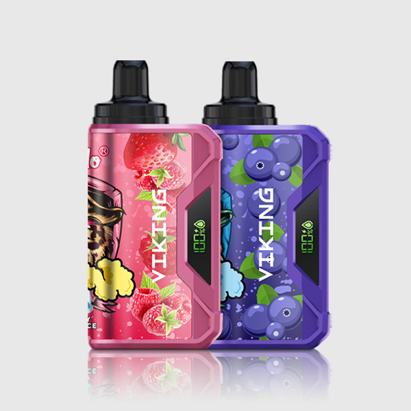 VapSolo VIKING 12000 Puffs - Pack 2 items | VAPE WAREHOUSE — image 1
