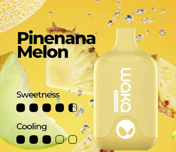 WAKA SMASH PINEANA MELON - 6000 PUFFS — image 1